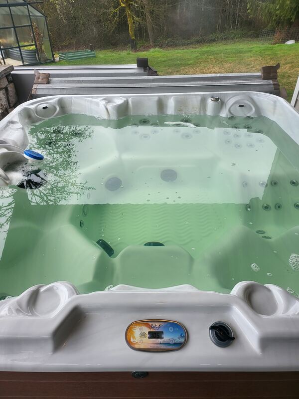 Hot tub with pea-green water before service