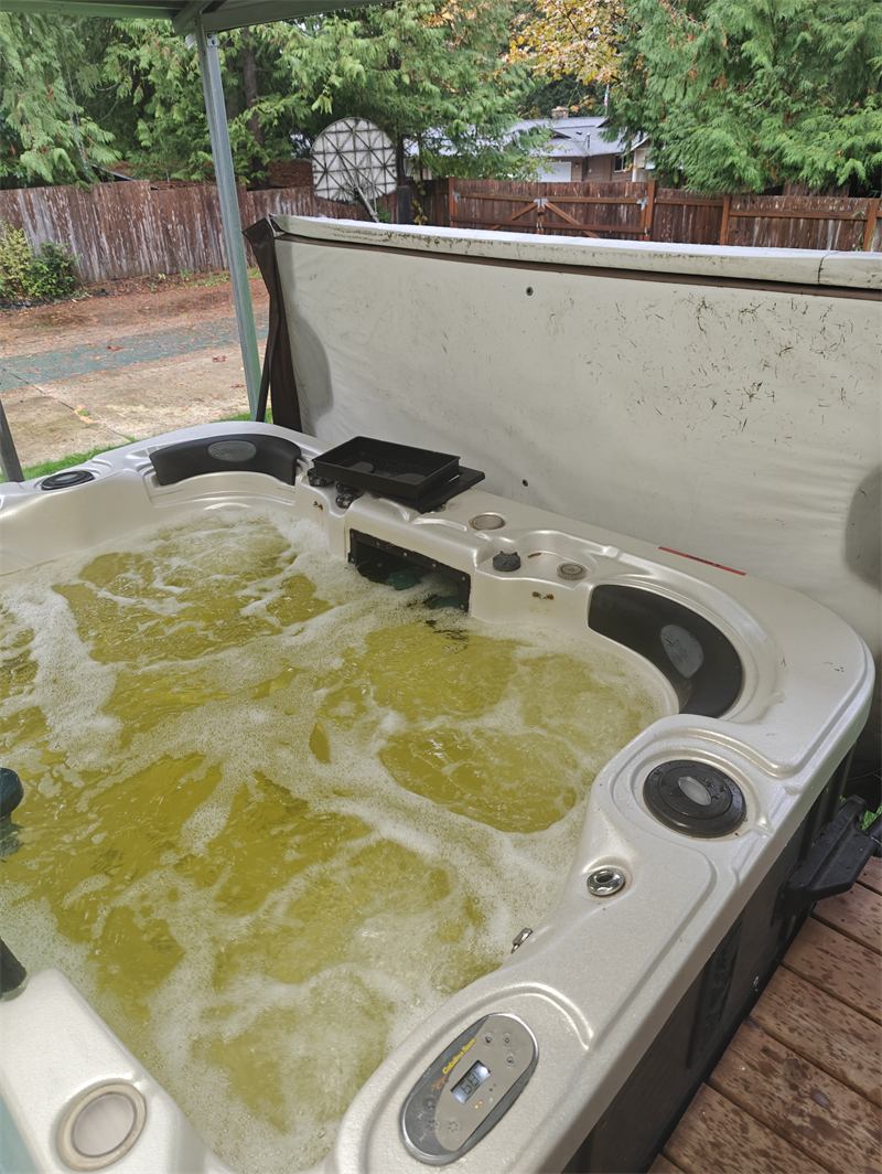 Hot tub with murky green water before cleaning