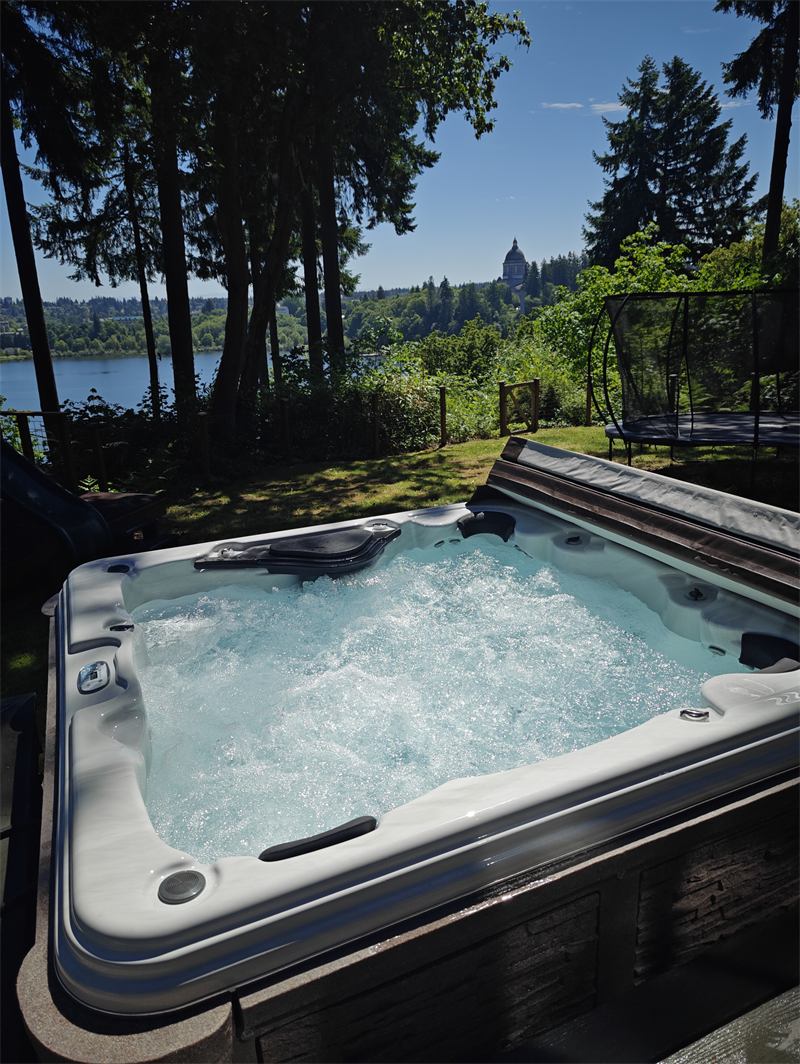 Backyard spa with the Capitol dome across the lake